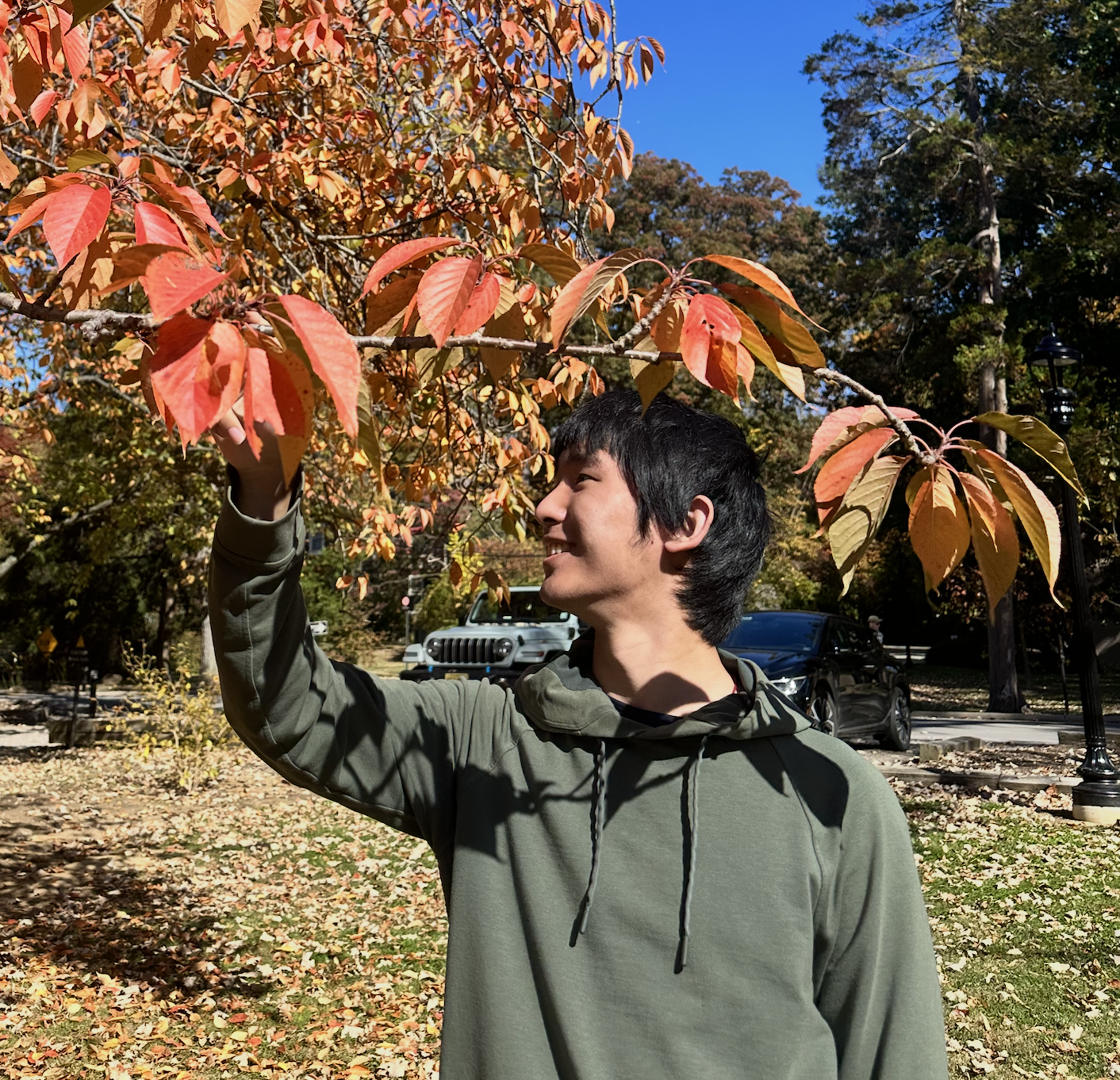 Portrait of David Dai